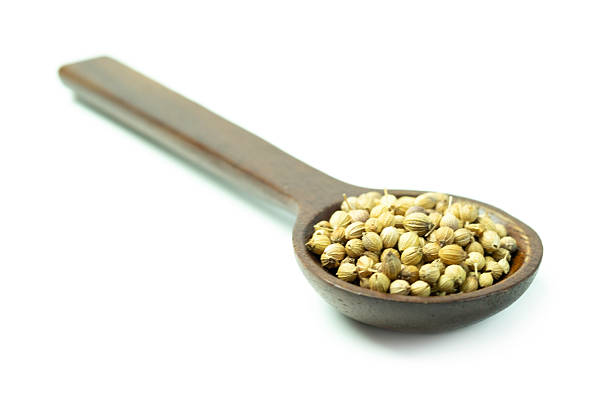 تصویر 3 از خرید تخم گشنیز ترد + قیمت فروش استثنایی